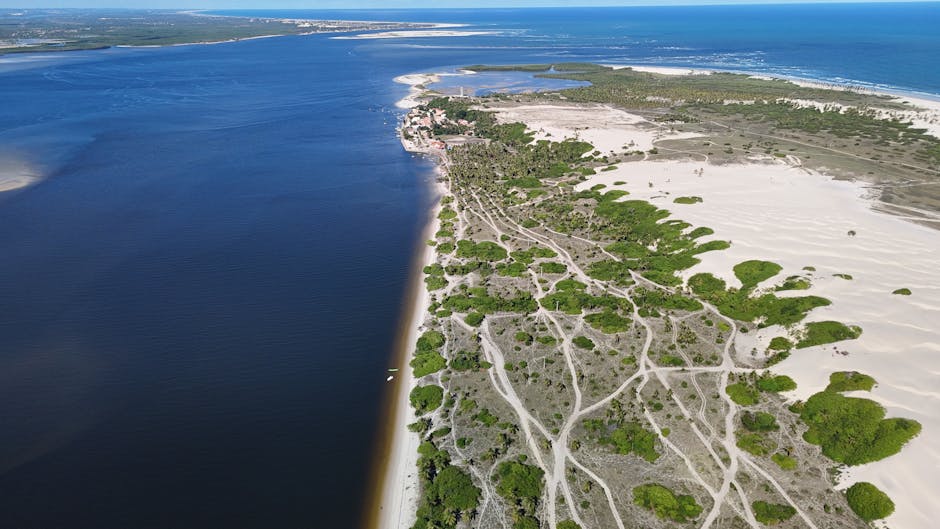 Gestión ambiental de dunas y vegetación costera en playa