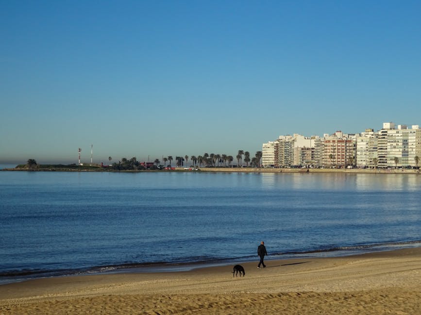 Playa mediterránea de arena fina con aguas cristalinas